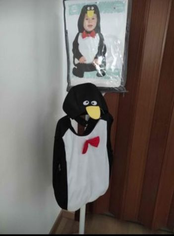 Costumi di Carnevale - Foto 10