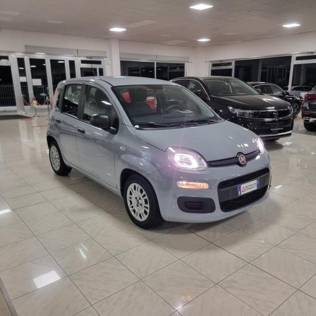 Fiat Panda 1.0 FireFly S&S Hybrid - Foto 3