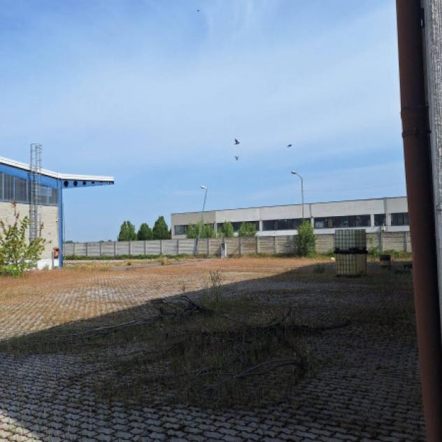 Immobile di 1620 m² con 1 locale in vendita a Fabbrico - Foto 6