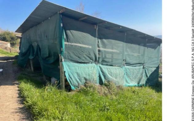 Immobile in asta di 169 m² con più di 5 locali in vendita a San Marco dei Cavoti - Foto 7