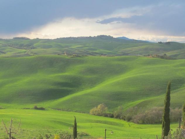 Terreno edif. residenziale in vendita a La Rosa - Terricciola 1600 mq  Rif: 1054449