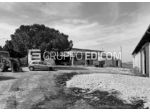 Fabbricato in vendita a Monreale - Rif. 4554465