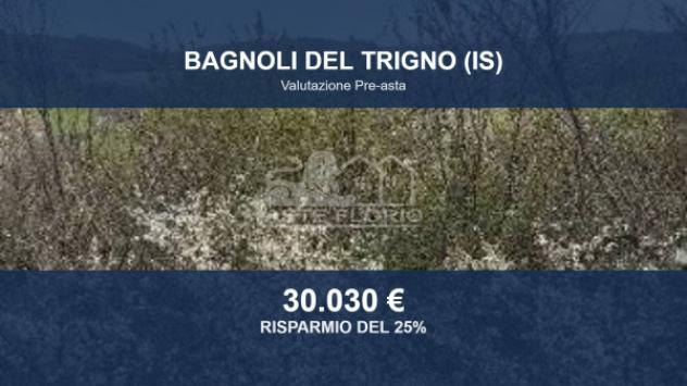 Immobile in asta di 52795 m² in vendita a Bagnoli del Trigno