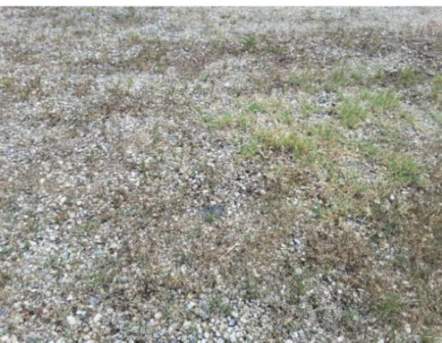 Immobile in asta di 1690 m² in vendita a Forlì - Foto 9