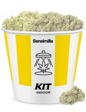 Indoor Adventure Kit 6g