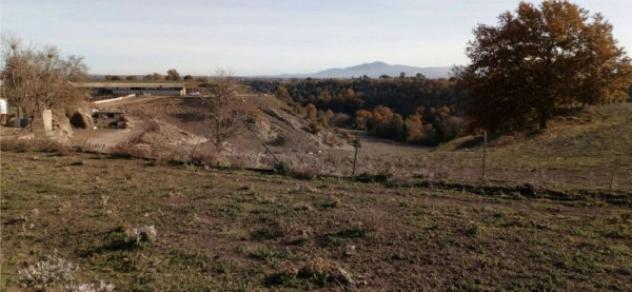 Immobile in asta di 717 m² in vendita a Viterbo - Foto 2