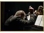Organista si offre a Firenze