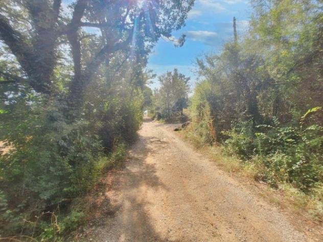 Immobile in asta di 16930 m² in vendita a Todi - Foto 5
