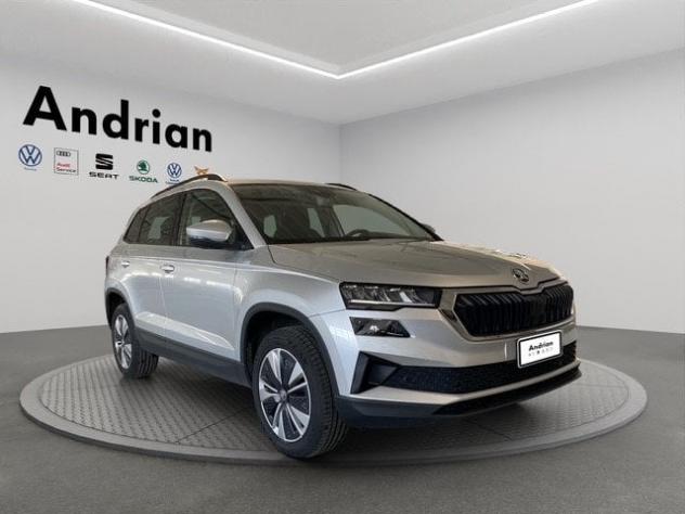 Škoda Karoq Karoq 2.0 TDI EVO SCR 115 CV DSG Ambition - Foto 4