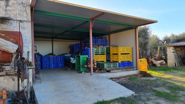 Rif. 02T Bernalda-Azienda agricola in vendita - Foto 9