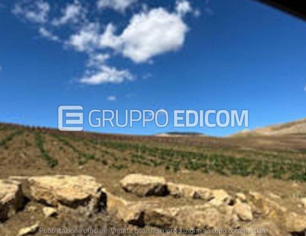 Terreno di 118260 mq in vendita a Monreale - Rif. 4552644 - Foto 3