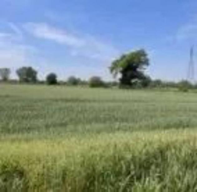 Immobile in asta di 60550 m² in vendita a Remedello - Foto 7