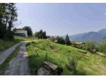 243/2024 27 BG - terreno a destinazione agricola/boschiva in asta a  San Gi &hellip;