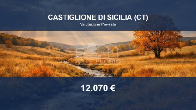 Immobile in asta di 8100 m² in vendita a Castiglione di Sicilia