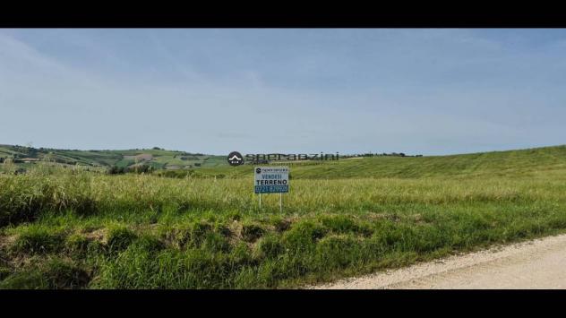 San costanzo proponiamo in vendita azienda agricola di circa 18 ettari. il terreno gode di un'ottima esposizione ed è facilmente raggiungibile dalle p - Foto 2