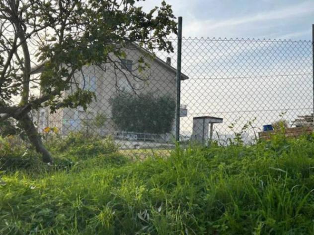 Immobile in asta di 5489 m² in vendita a Terre Roveresche - Foto 2