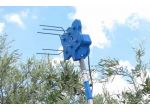 Elettrobrucaolive Super Arpi 6 - Cardelli