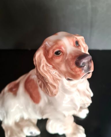 Cane porcellana di Meissen