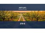 Immobile in asta di 2780 m² in vendita a Asti