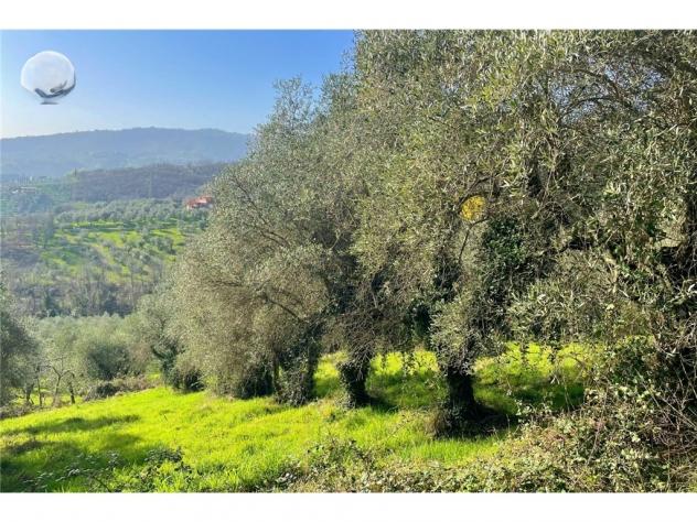 Terreno agricolo in vendita a Monterappoli - Empoli 10000 mq Rif: 1355708