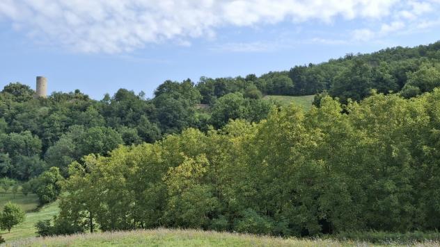 Agricolo in vendita a Pennabilli
