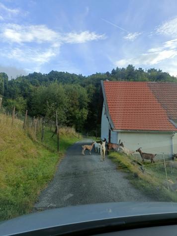 Rustico in vendita a Sassello - Foto 3