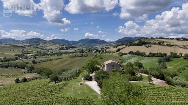 Villa bifamiliare - Arcevia . Rif.: SV04466VRG - Foto 13