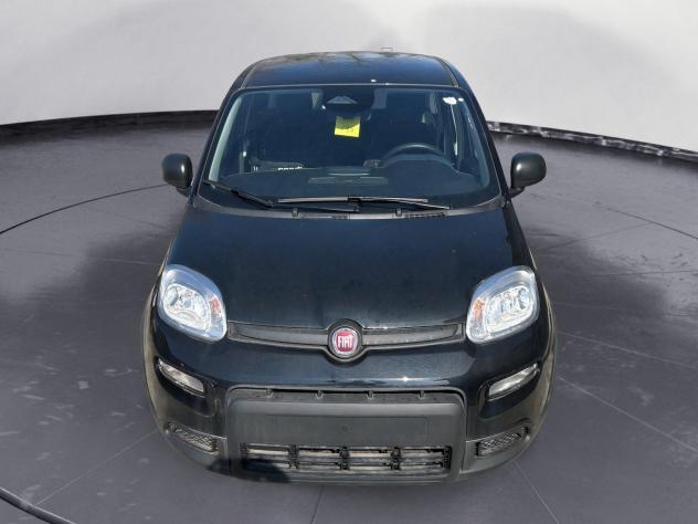 FIAT Panda 1.0 firefly hybrid s&s 70cv - Foto 5