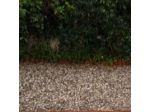 B&B Villa Lidia