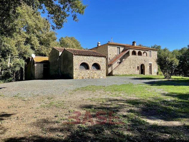 Azienda Agricola in vendita a Guardistallo - Foto 11