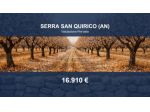Immobile in asta di 42298 m² in vendita a Serra San Quirico
