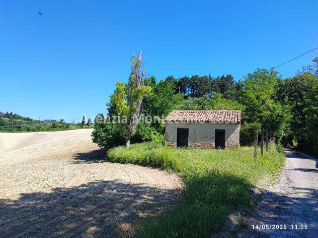 Terreno agricolo, bosco e capanno - Foto 13