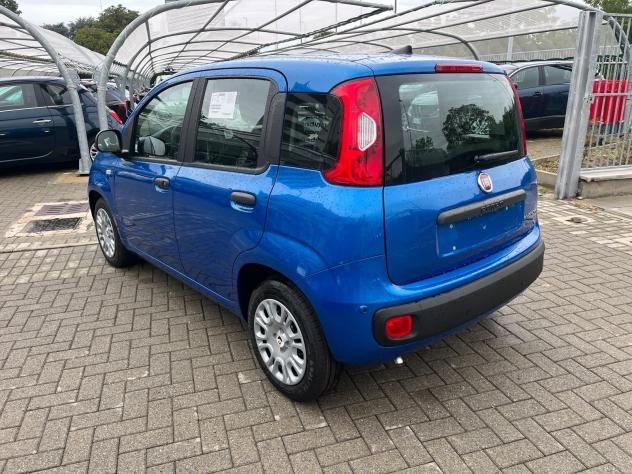 FIAT Panda 1.0 FireFly 70cv S&S Hybrid Pandina Icon - Foto 8