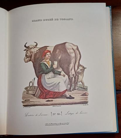 SOUVENIR DE ITALIE, COLLECTIONS DE COSTUMES DES DIVERSES PROVINCES DU GRAN DUCHE - Foto 9