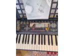Vendo Organo Yamaha Psr 195