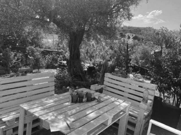 Immobile in asta di 57122 m² in vendita a Catanzaro - Foto 5