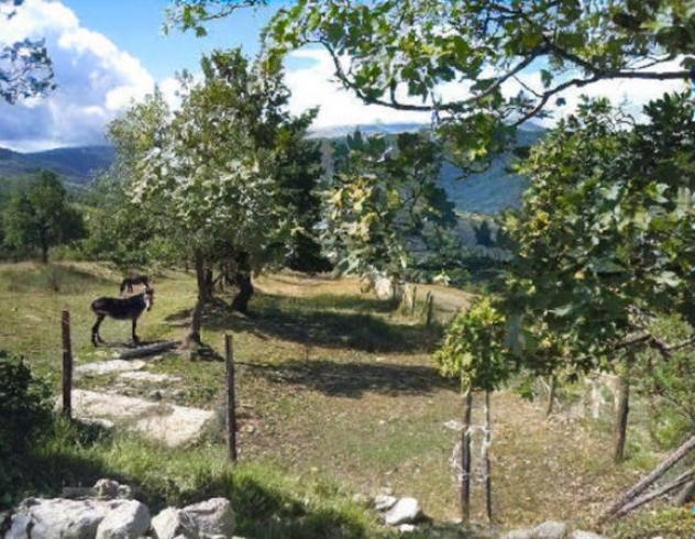 Immobile in asta di 31 m² in vendita a Rocca Santa Maria - Foto 4