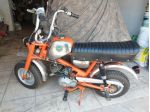 Benelli minibike 50