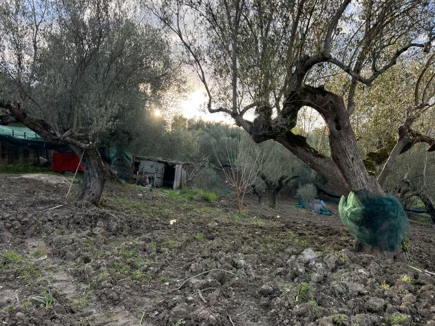 Agricolo in Via Molino Vecchio - Foto 7