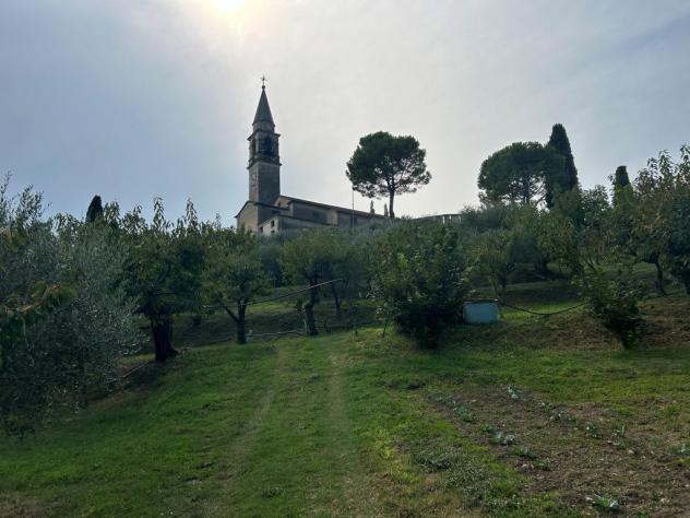 Uliveto in vendita a Castegnero