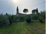 Uliveto in vendita a Castegnero
