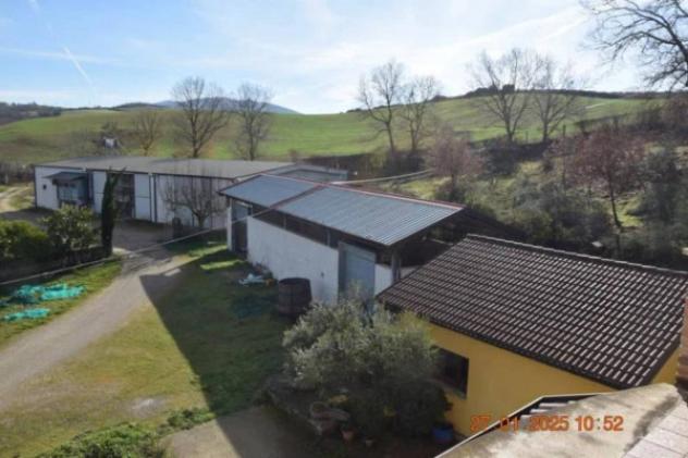 Immobile in asta di 8423 m² in vendita a Picerno - Foto 4