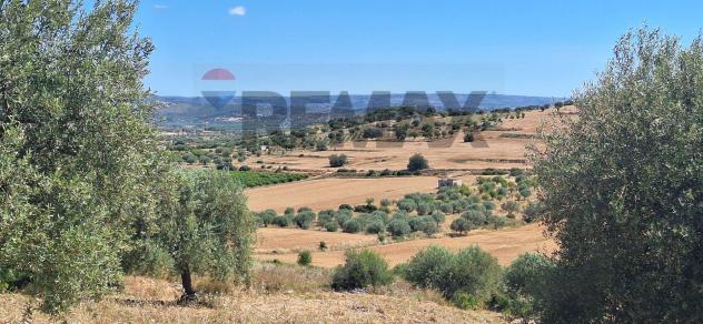 Terreno in vendita a Noto - Foto 6