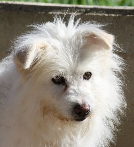 Il mio unico desiderio è una famiglia, che sia per un anno o un giorno, ma mia. - Foto 2