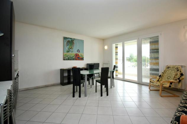 Appartamento in affitto a Calambrone - Pisa 50 mq Rif: 192936 - Foto 6