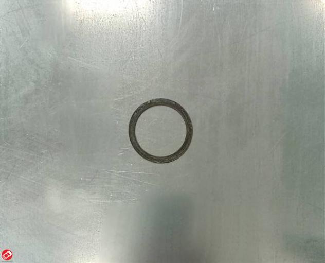 RONDELLA VARIATORE MOTORE 1002568