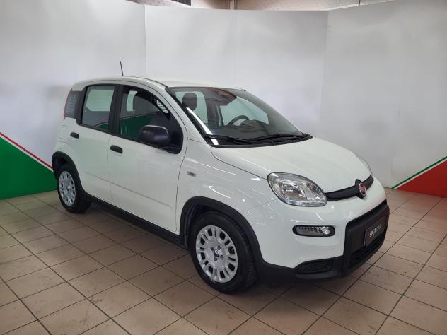 FIAT Panda 1.0 FireFly 70cv S&S Hybrid - Foto 2