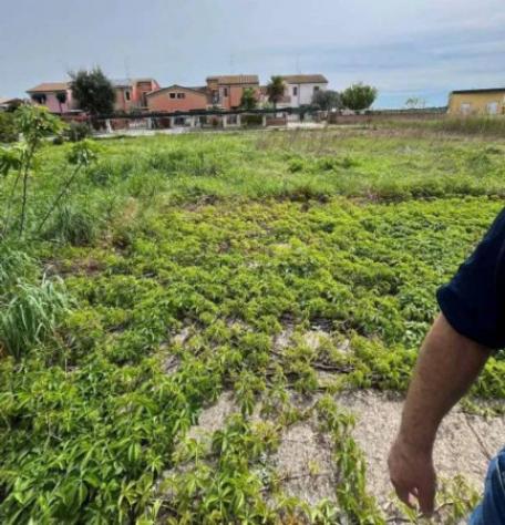 Immobile in asta di 369 m² in vendita a Eraclea - Foto 4