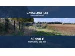 Immobile in asta di 22562 m² in vendita a Cavallino