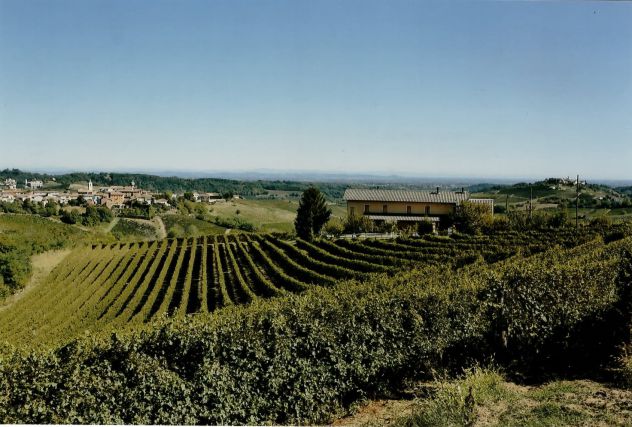 Casale, Vigna e uno splendido Panorama